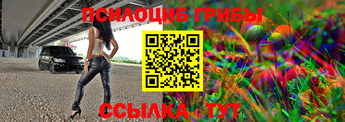 Галлюциногенные грибы прущие грибы Алушта