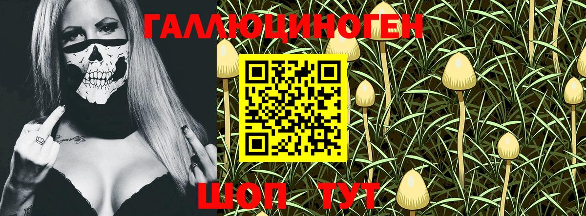 Алушта  Галлюциногенные грибы ЛСД  Псилоцибиновые грибы MAGIC MUSHROOMS  Вход с VPN 