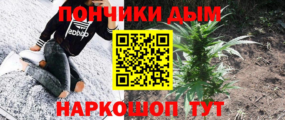 Бошки Шишки планчик  Шишки марихуана White Widow  Алушта  Вход с VPN  Шишки марихуана MAZAR 